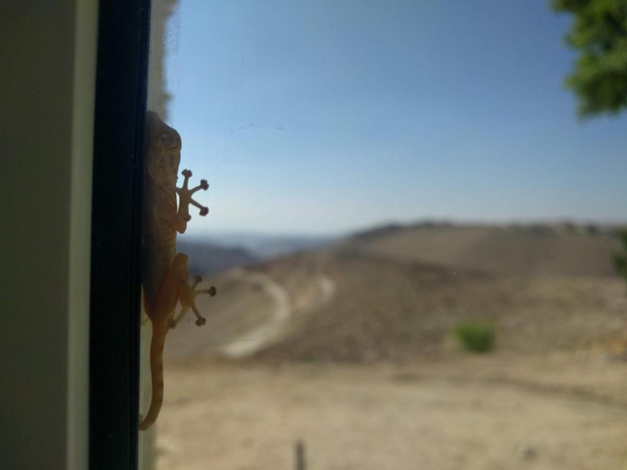 Dead Sea Desert'S Edge Arad Ngoại thất bức ảnh