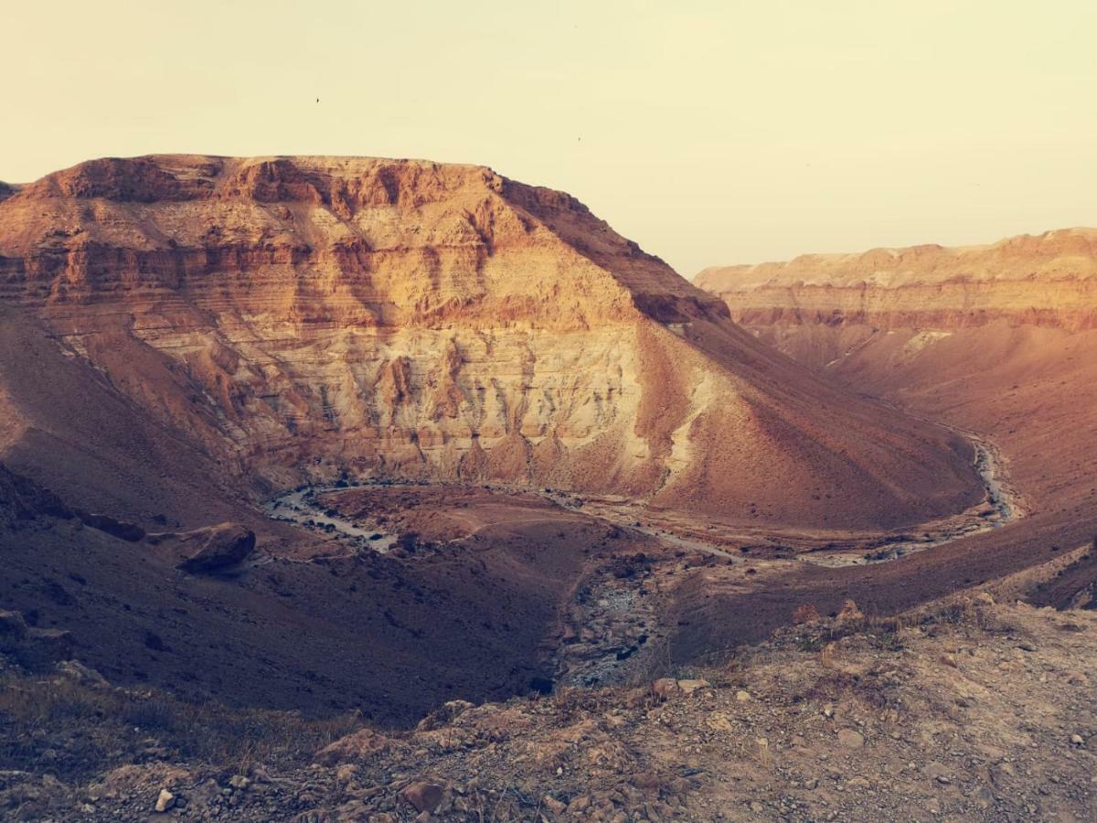 Dead Sea Desert'S Edge Arad Ngoại thất bức ảnh
